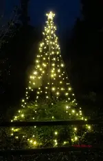 G_Vorgarten_LED_Lichter_Weihnachtsbaum_12_.2013_mr.ditschy.webp