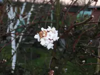 CIMG6383.webp