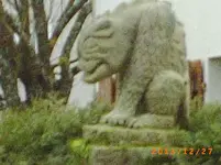 dez06 008.webp