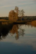 moor13.webp
