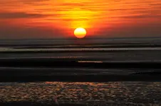 Sonne.webp