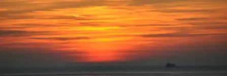 Sonne7.webp