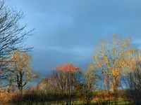 24 Sonnenschein-Spuren.webp