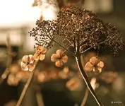 IMG_5045.webp