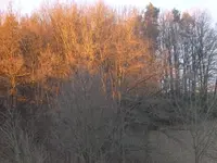P1110075.webp