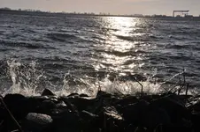 Elbe4.webp