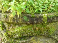 SAM_2682.webp