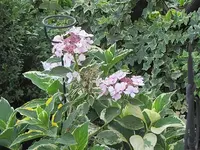 011.webp