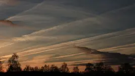 Borner See 131231.webp