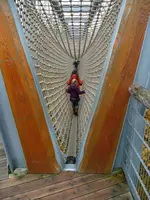 Netzbrücke.webp