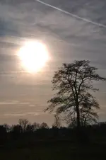Sonne1.webp