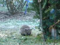 DSCN6346.webp