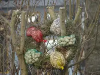Vogelkranz.webp