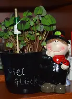 DSC_7724_viel_Gluck.webp