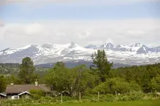 LandschaftN15.webp
