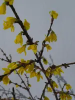 P1030236.webp