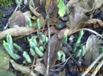 jan01 007.webp