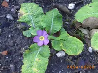 jan01 012.webp
