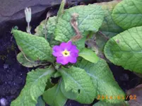 jan01 016.webp
