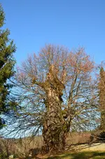 DSC_0616.webp