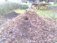 Loch im Kompost_2.webp