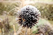 2013_1230winter0001h.webp