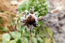 2013_1230winter0018 echi.webp