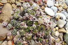 2013_1230winter0024 h.webp