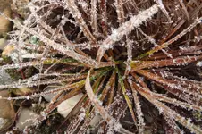 2013_1230winter0028.webp
