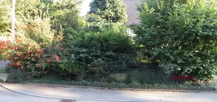G_Vorgarten_links_08_2013_mr.ditschy.webp