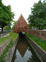 P5.webp