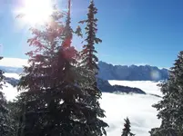 Winter1.webp