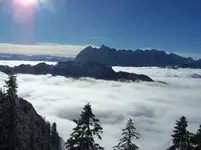 Winter2.webp