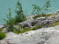 Breen5.webp