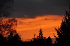 Heute1.webp