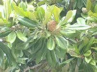 IMGP4400.webp