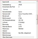 Feuerwerk.webp