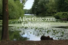 Geburtstagsgruss 140103.webp