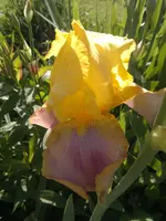 15052012892.webp