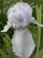 07052012843.webp
