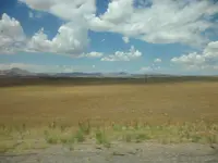 SAM_1508.webp
