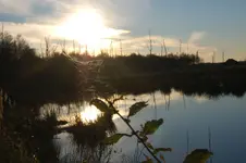 moor20.webp