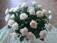 059.webp