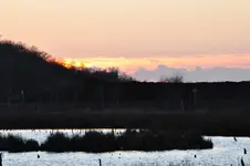 DSC_7317.webp