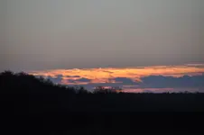 DSC_7337.webp