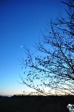 DSC_7436.webp