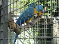 009.webp