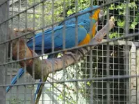 012.webp