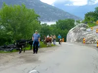 Almauftrieb.webp