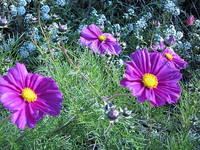 IMG_3635.webp